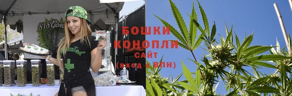 мдпв Вязники