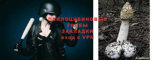 мет Вяземский