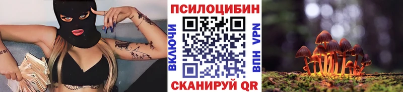 где купить   Волчанск  Псилоцибиновые грибы Magic Shrooms 